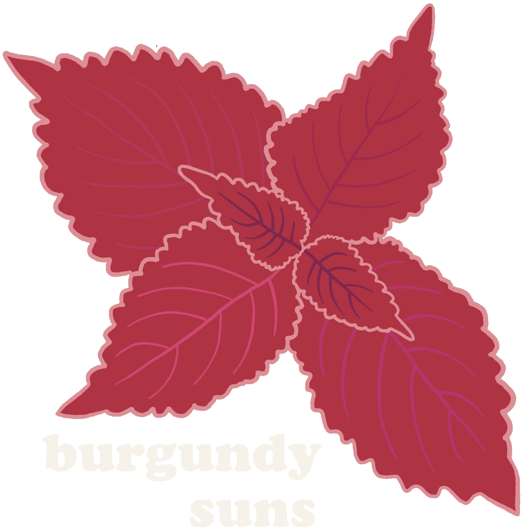 Burgundy Suns