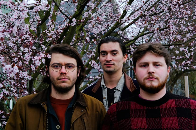 Blossoms